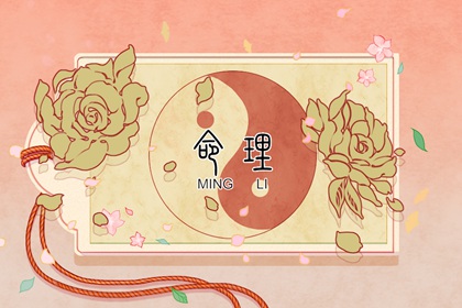 新浪紫微命盘 命盘详细解释 明星紫微斗数命盘 紫微测名 本命盘解析 元亨紫微排盘系统